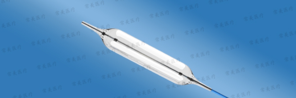 球囊扩张导管