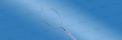 一次性使用电圈套器