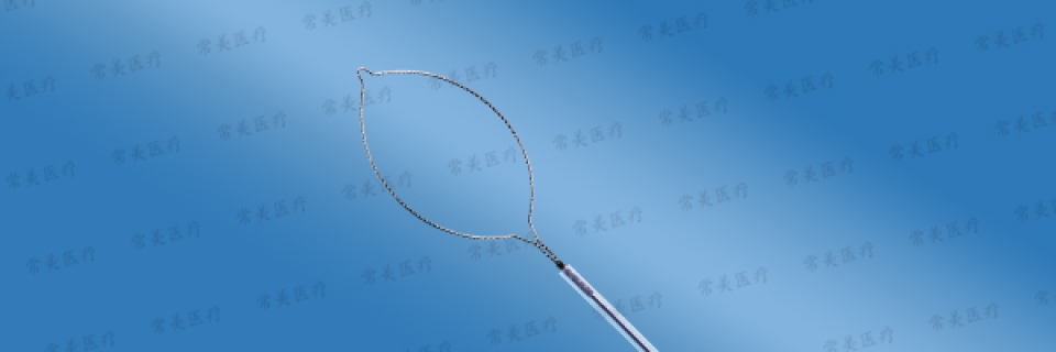 一次性使用电圈套器