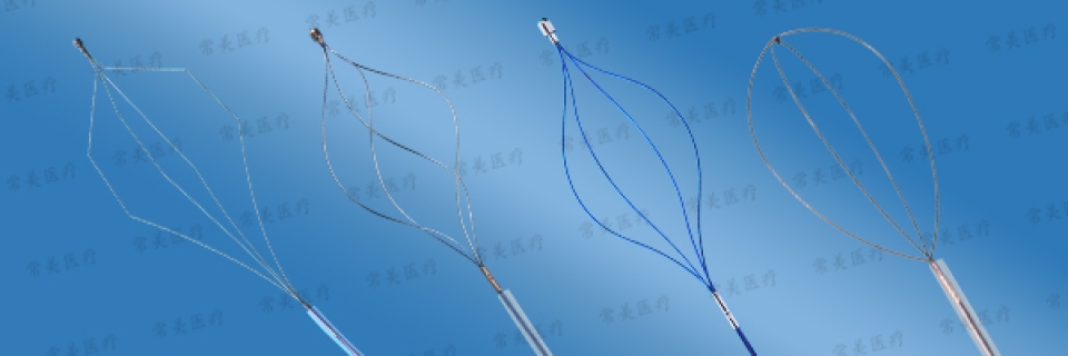 一次性使用内窥镜取石网篮